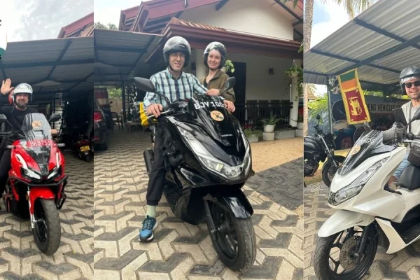 bike rental near me